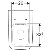     Geberit iCon Square, ,  , Rimfree :  56, 